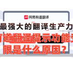 有道翻译提示功能受限是什么原因？