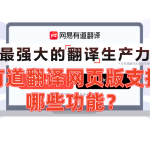 有道翻译网页版支持哪些功能？