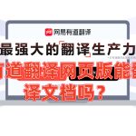 有道翻译网页版能翻译文档吗？