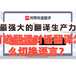 有道翻译对话翻译怎么切换语言？